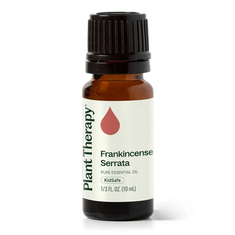 Frankincense Serrata Essential Oil 10 Ml