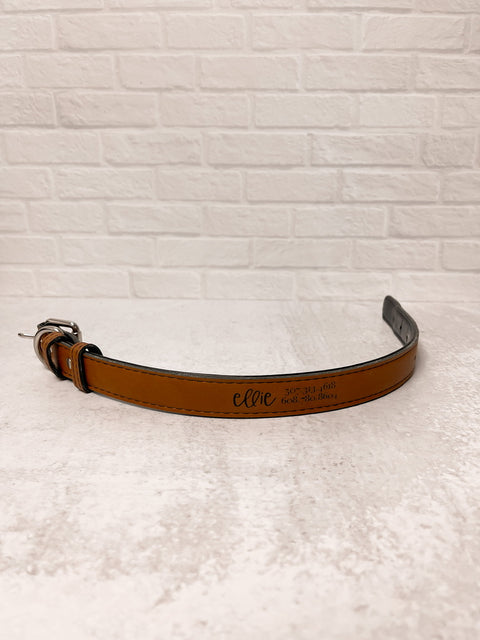Engraved Pet Collars