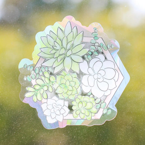 Succulent Planter Sun Catcher
