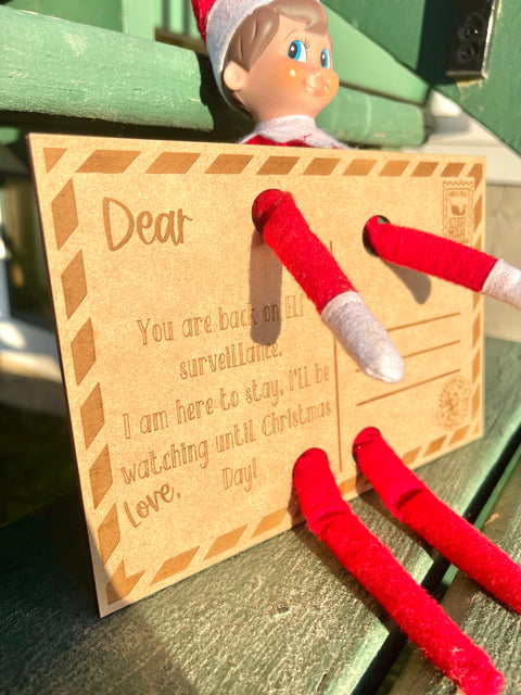 Elf on the Shelf Surveillance Postcard