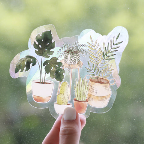 Potted Boho House Plants Sun Catcher