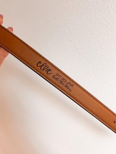 Engraved Pet Collars