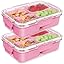 Small Portable Snackle Box - 4 compartments