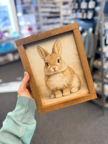 Vintage Bunny Framed Sign