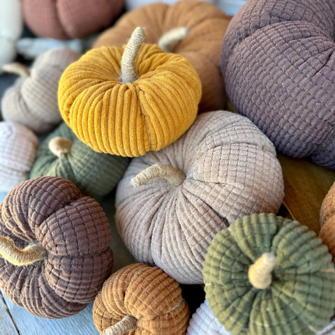 Medium Butterscotch Wide Cord Pumpkin