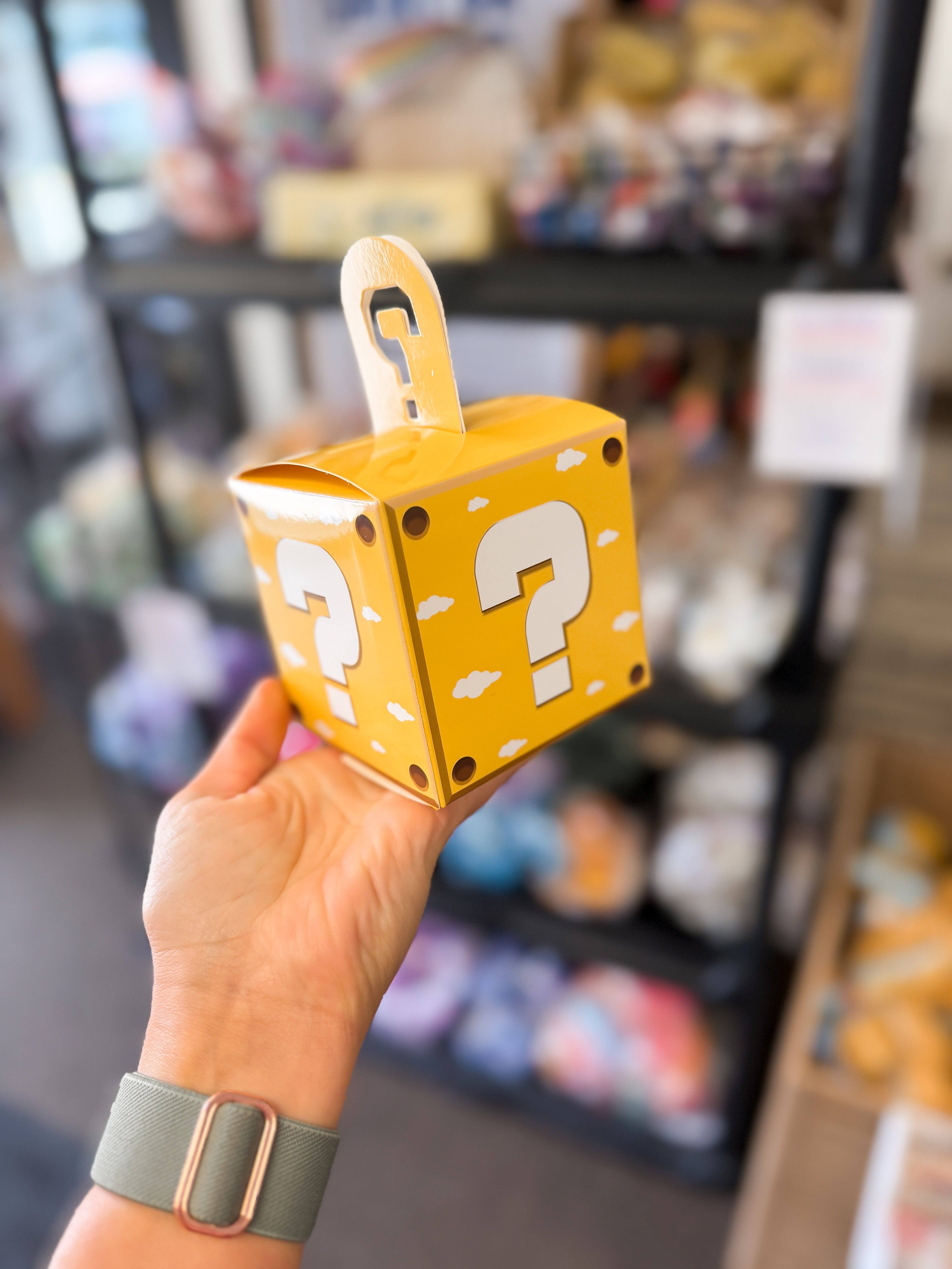 Mystery Squishy Box – Johnson Livings