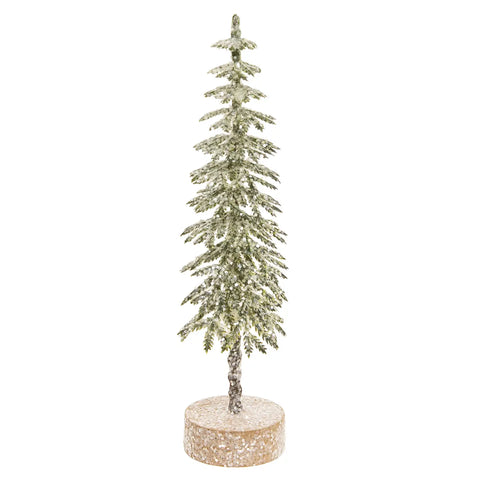 Gleaming Shortleaf Pine Tabletop Tree - 7"H