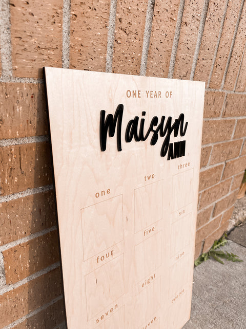 One Year Of Baby | First Birthday | 12 Milestone Photos Sign